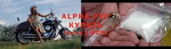 прущие грибы Россошь
