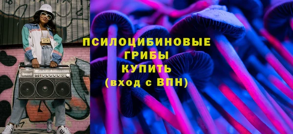 прущие грибы Россошь